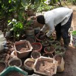 Backyard farming for a healthy body and mind